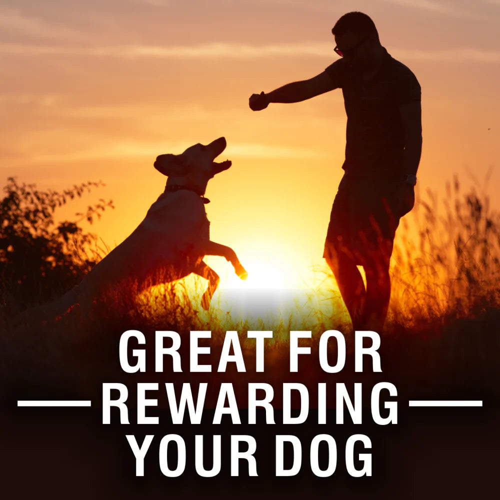 Purepet Chicken Flavour Real Chicken Biscuit Dog Treats Pouch