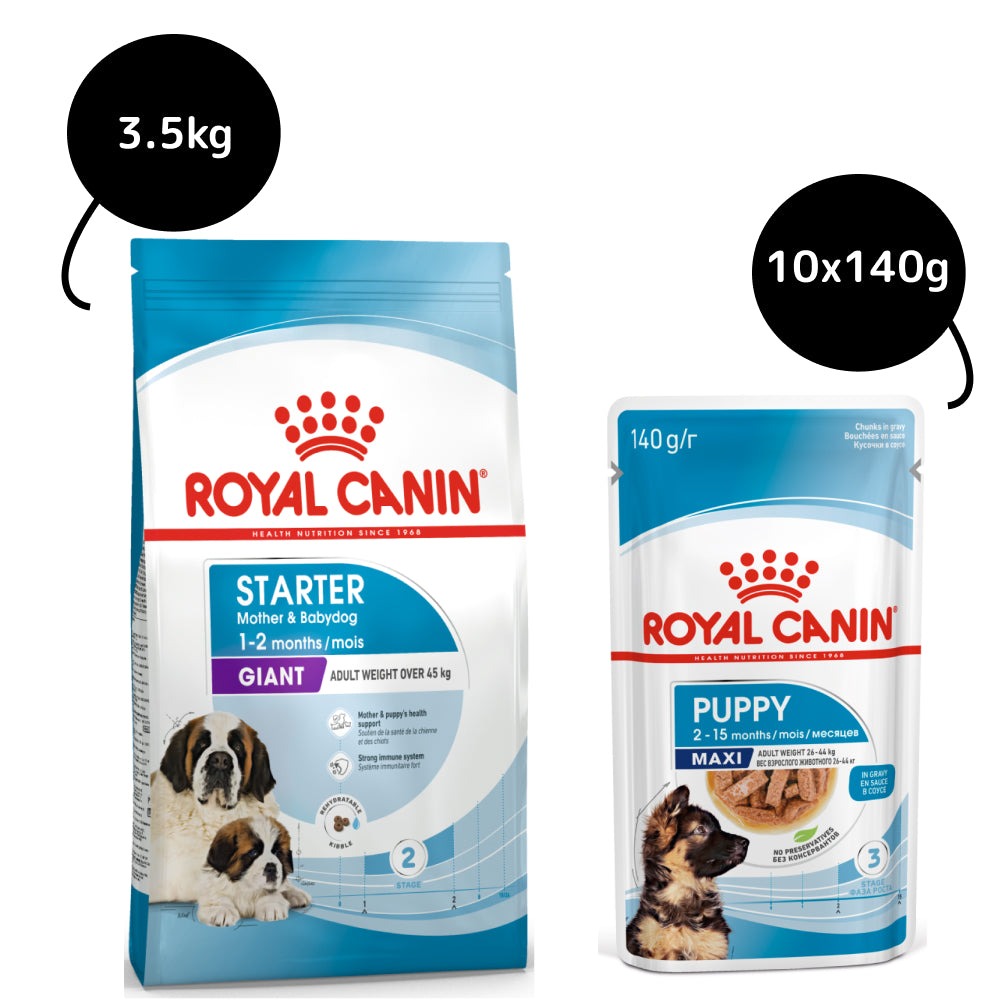 Royal Canin Giant Breed Dog and Puppies Starter Dry Food and Maxi Puppy Dog Wet Food Combo