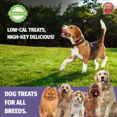 Rena Love Dumbbell Treats for Dogs