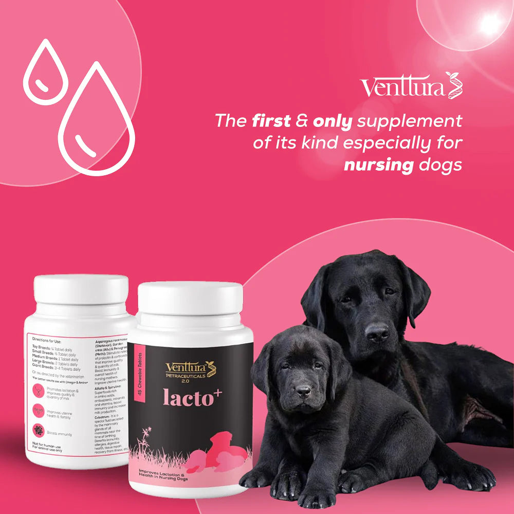 Venttura Lacto Plus Milk Boosters Chewable Tablets for Dogs