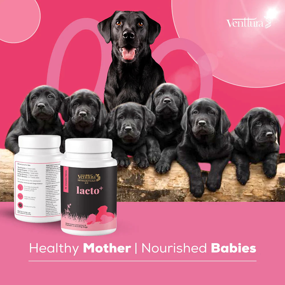 Venttura Lacto Plus Milk Boosters Chewable Tablets for Dogs