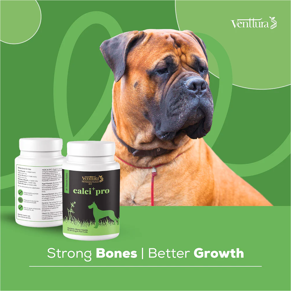 Venttura Calci Pro Plus Chewable Calcium Supplement Tablets for Dogs