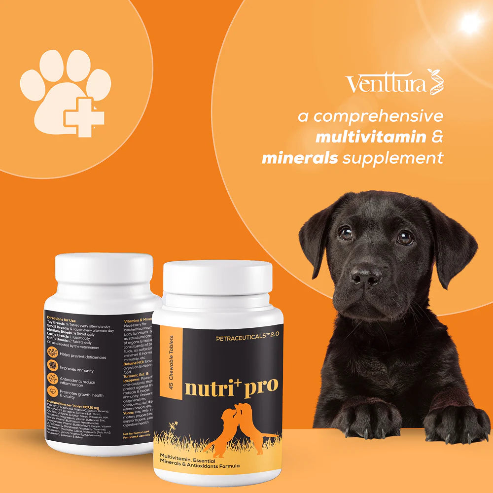 Venttura Nutri Plus Pro Multi Vitamin Chewable Tablets for Dogs