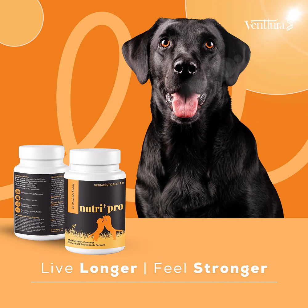 Venttura Nutri Plus Pro Multi Vitamin Chewable Tablets for Dogs