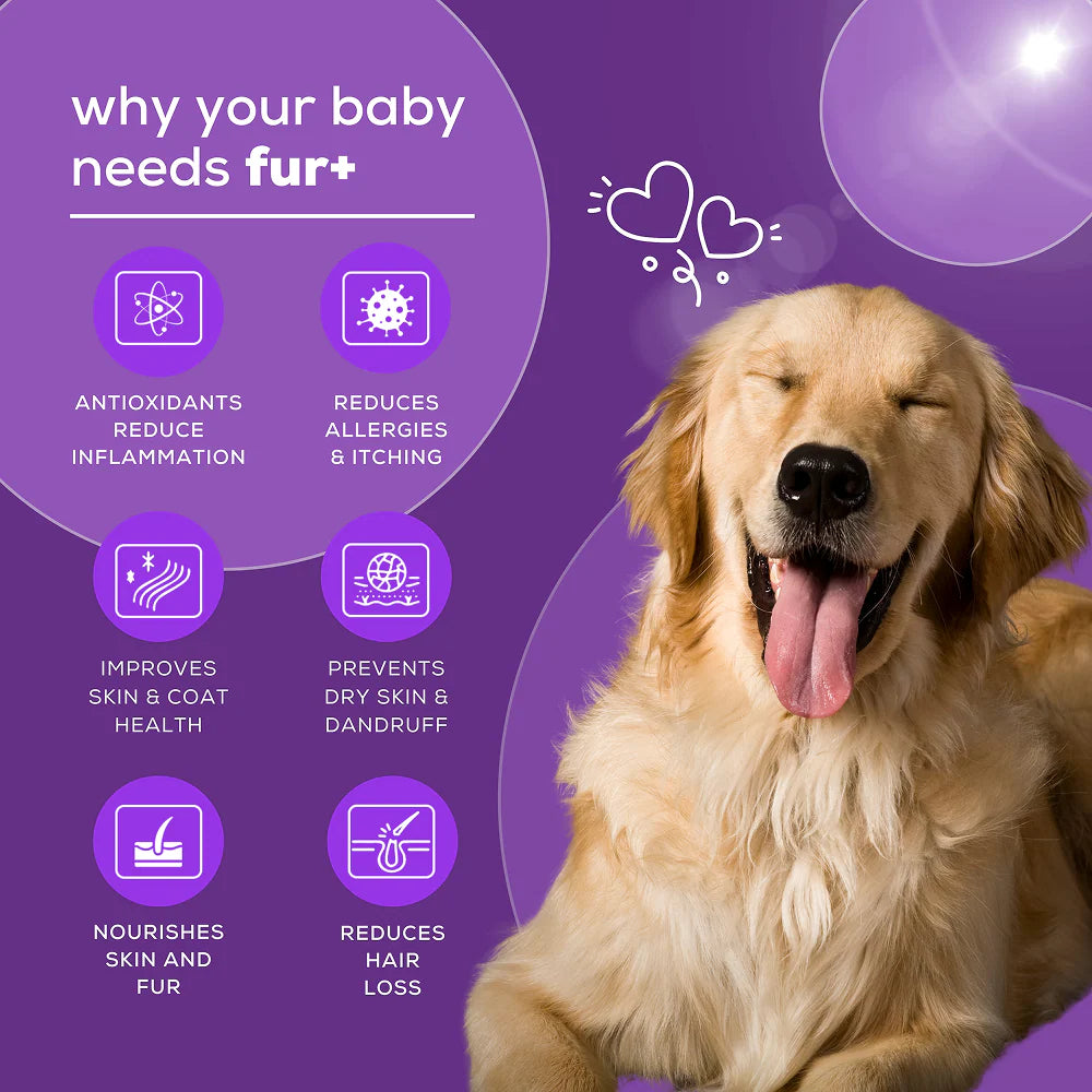 Venttura Fur Plus Chewable Skin & Coat Supplement Tablets for Dogs