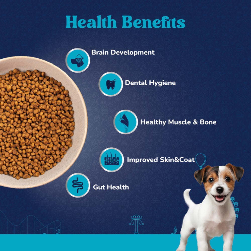 Carniwel Fresh Chicken Kibble Small Breed Dry Food and Kennel Kitchen Supreme Cuts in Gravy Chicken Liver Recipe with Pumpkin Dog Wet Food Combo