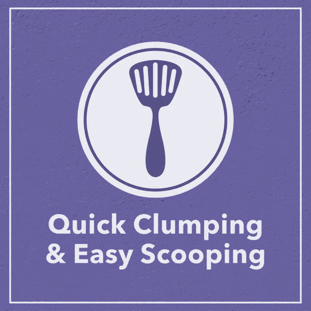 Scoopy Cat Litter | Lavender Scented | 100% Natural Indian Brown Sand (10kg)