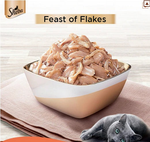 Sheba Fish with Dry Bonito Flake, Skipjack & Salmon Fish, Maguro & Bream Fish Mix and Fish with Sasami Cat Wet Food Combo