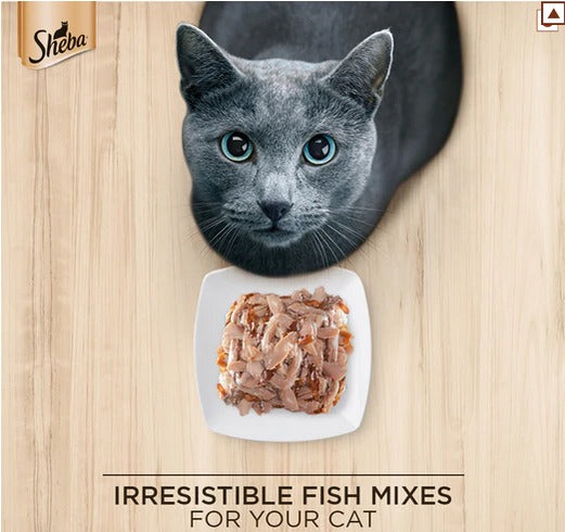 Sheba Fish with Dry Bonito Flake, Skipjack & Salmon Fish, Maguro & Bream Fish Mix and Fish with Sasami Cat Wet Food Combo