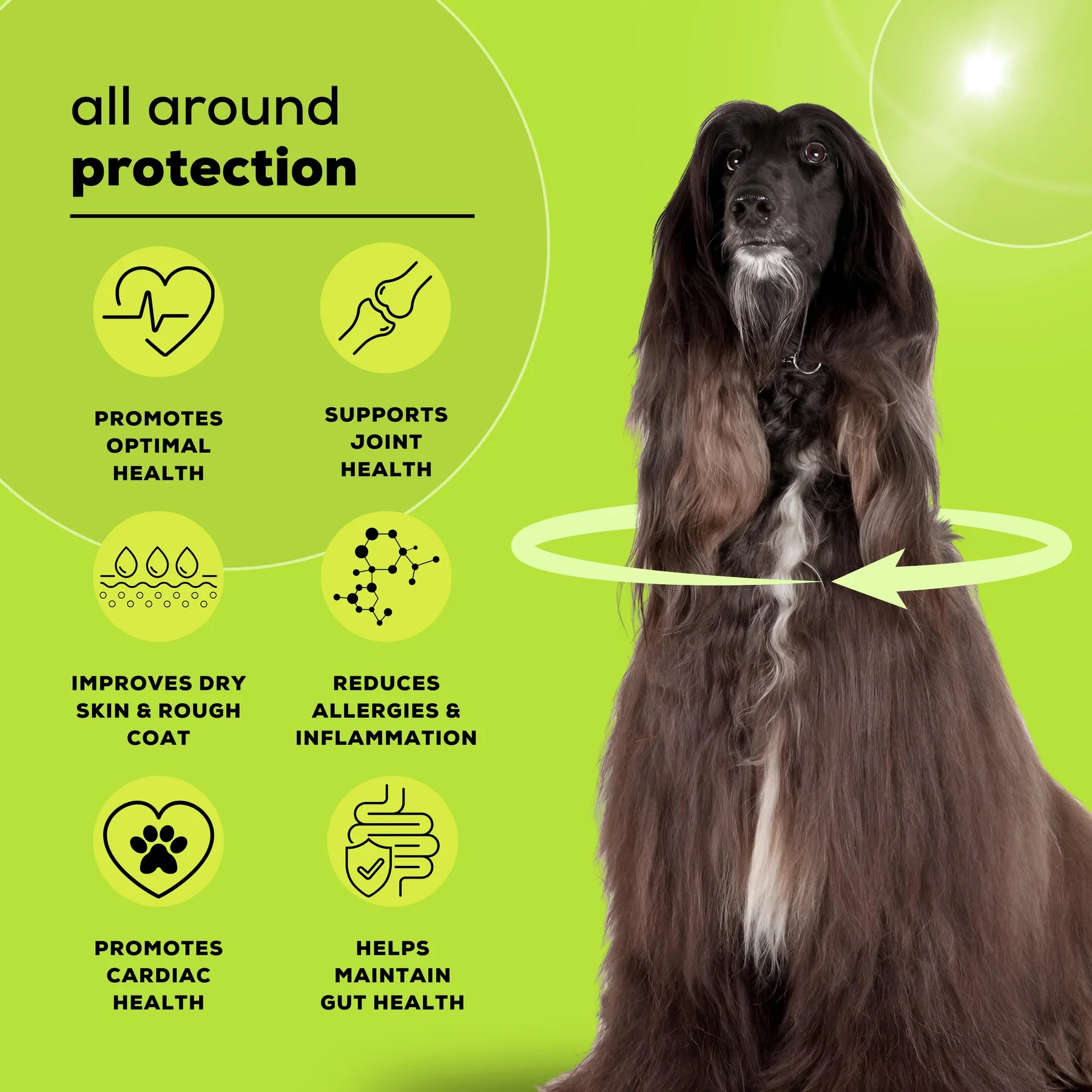 Venttura Omega 3 Plus Skin & Coat Syrup for Dogs