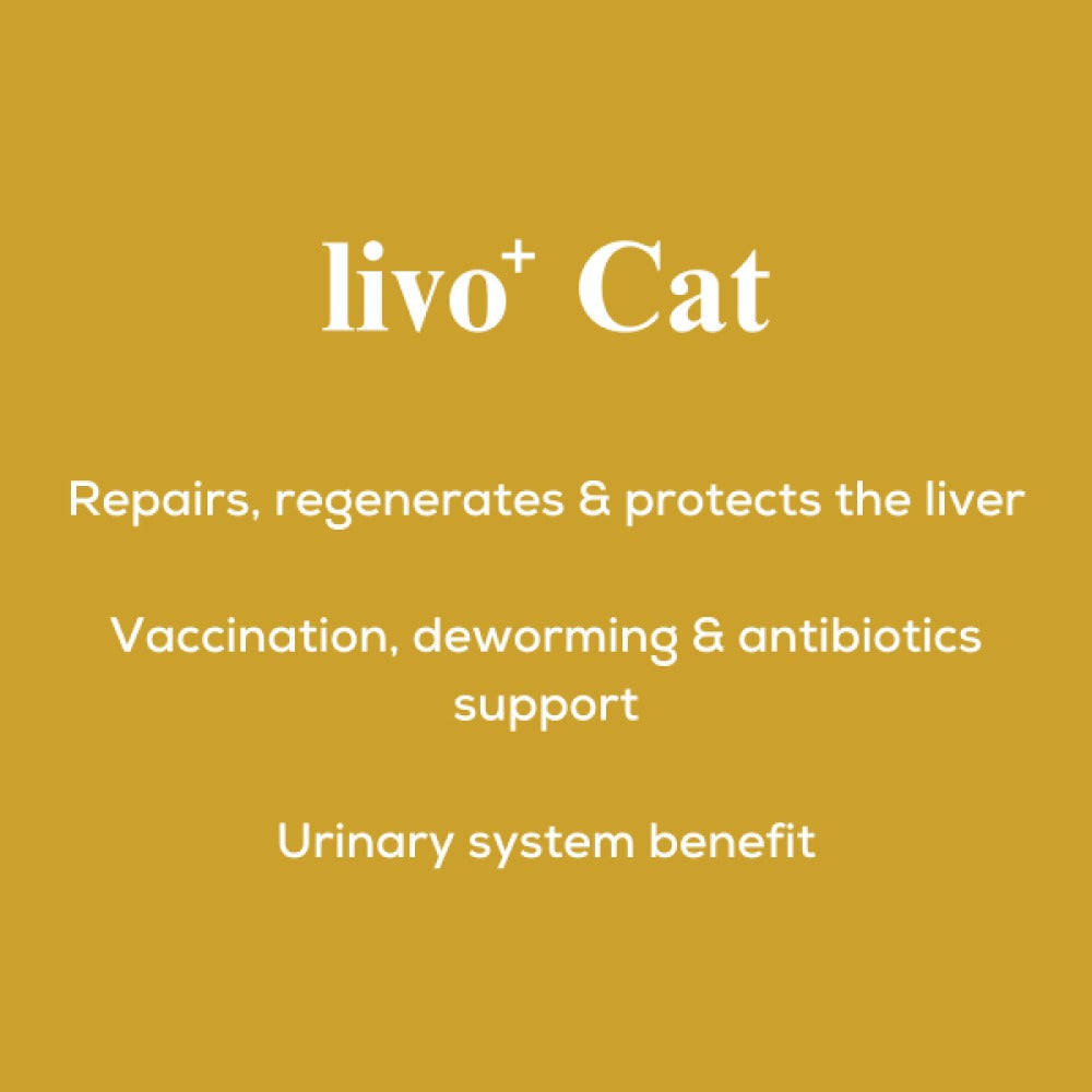 Venttura Liver Repair, Support Recovery & Recuperation Supplement for Cats