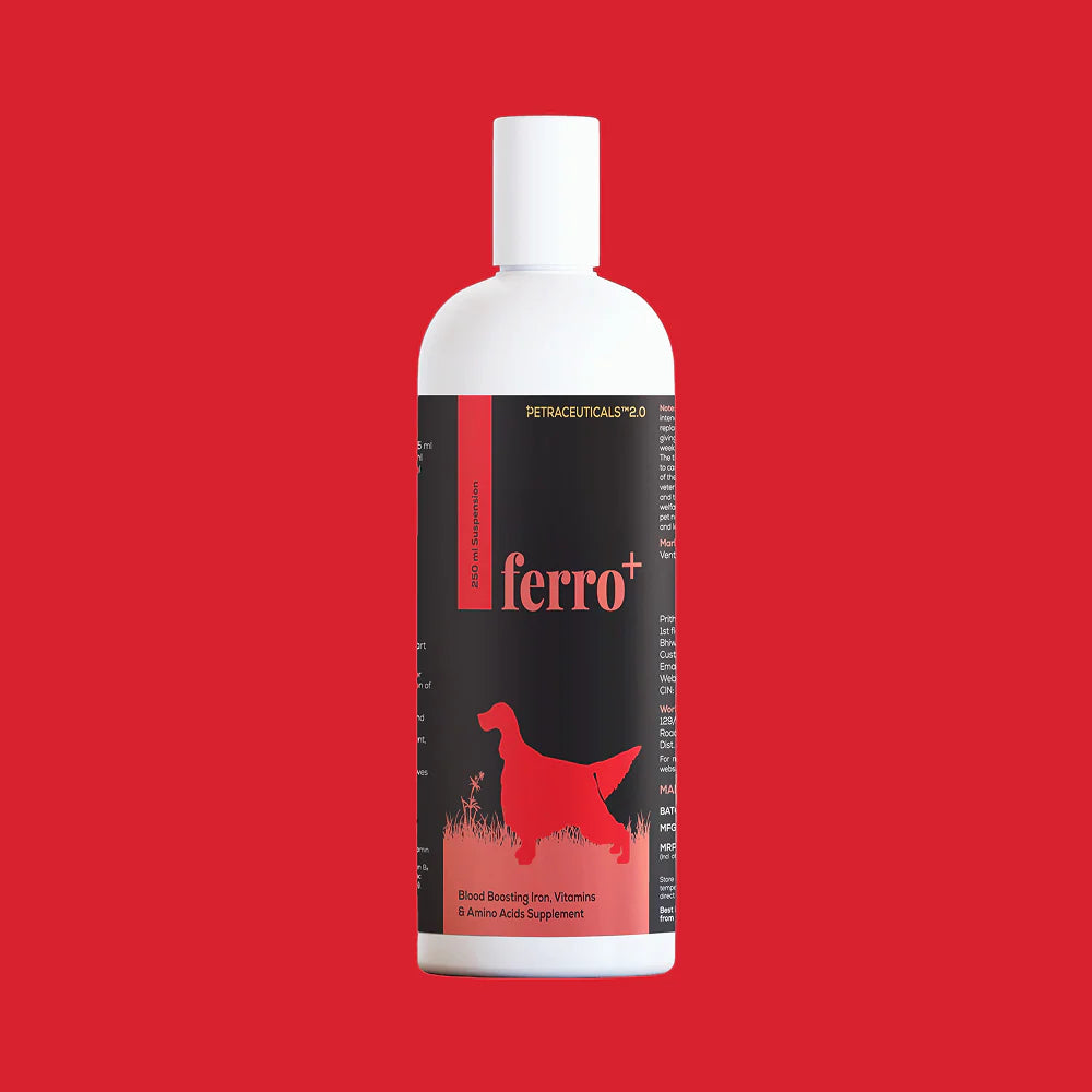 Venttura Ferro Plus Iron Supplements Syrup for Dogs