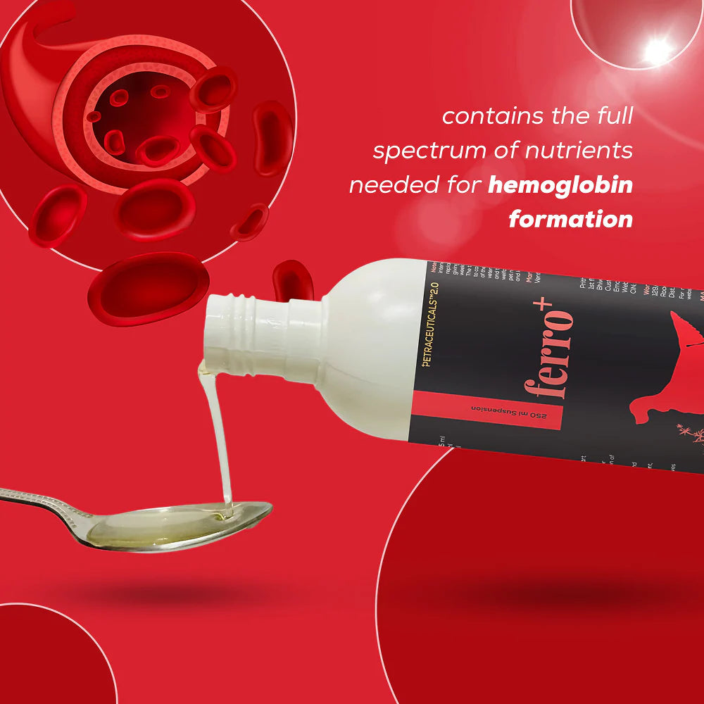 Venttura Ferro Plus Iron Supplements Syrup for Dogs