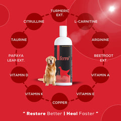Venttura Ferro Plus Iron Supplements Syrup for Dogs