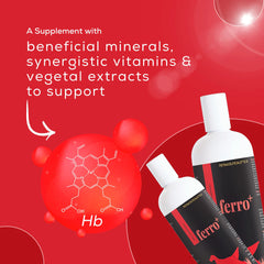 Venttura Ferro Plus Iron Supplements Syrup for Dogs