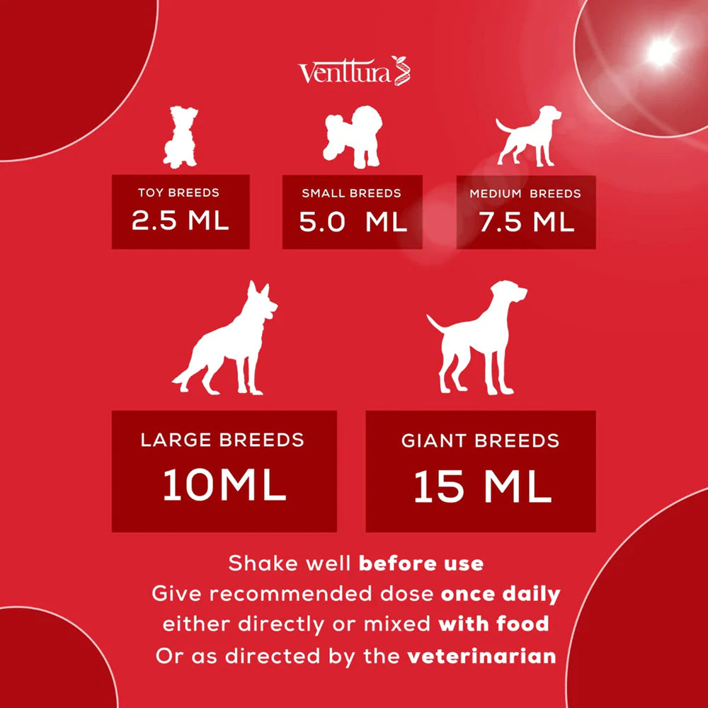 Venttura Ferro Plus Iron Supplements Syrup for Dogs