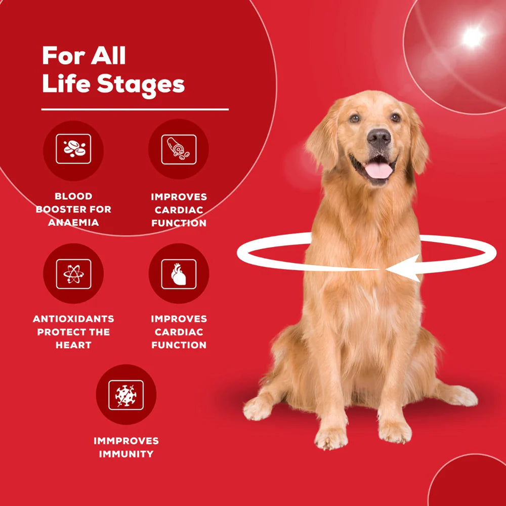 Venttura Ferro Plus Iron Supplements Syrup for Dogs