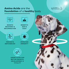 Venttura Amino Plus Syrup for Dogs