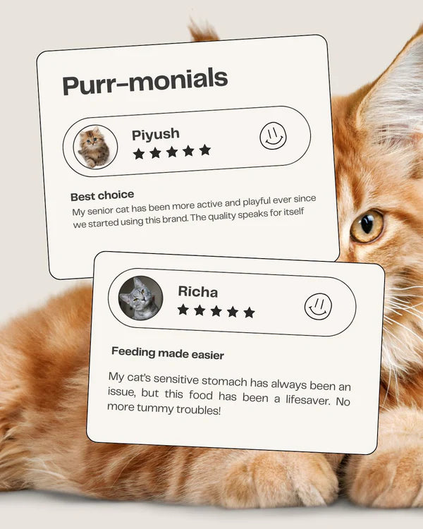 Fresh For Purrs Goat Goodness Wet Food for Cats