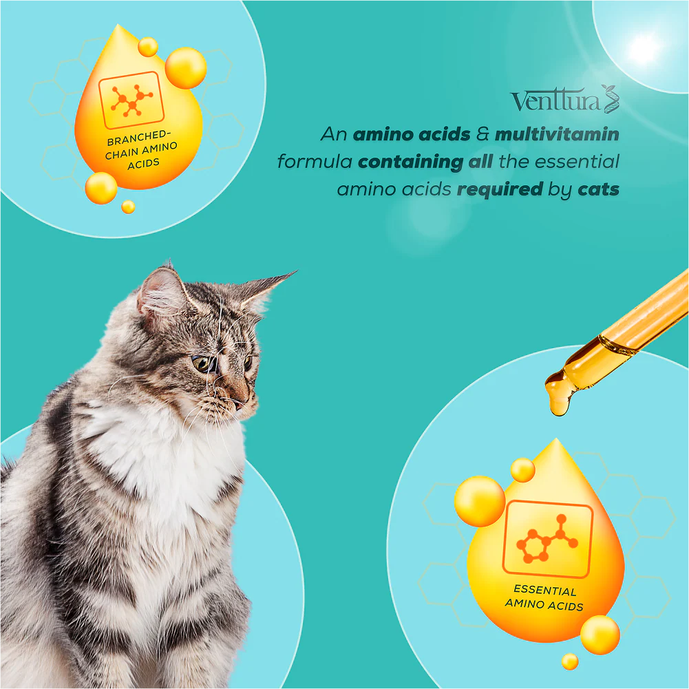 Venttura Amino Acids & Vitamin Supplement for Cats