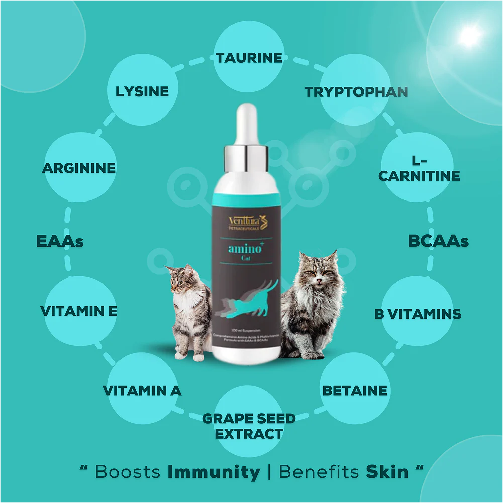 Venttura Amino Acids & Vitamin Supplement for Cats