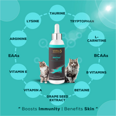 Venttura Amino Acids & Vitamin Supplement for Cats