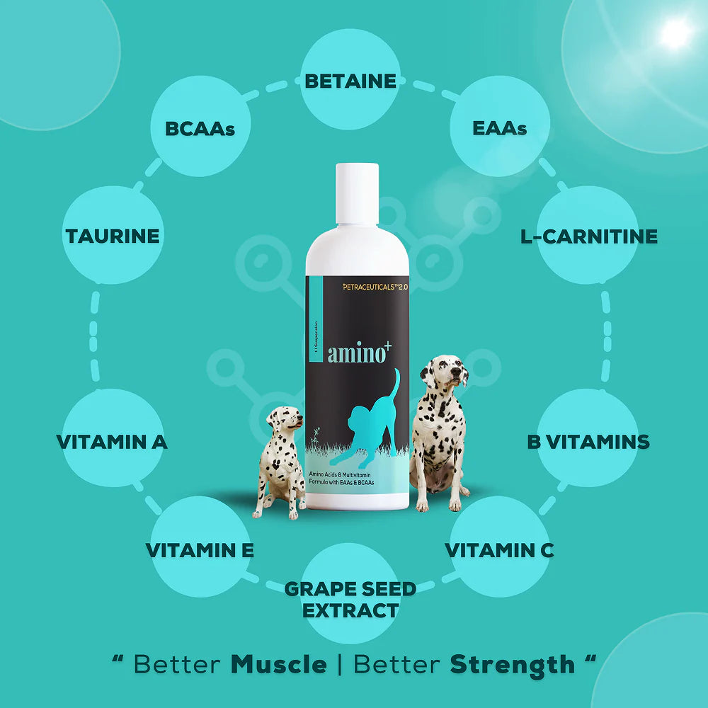 Venttura Amino Plus Syrup for Dogs