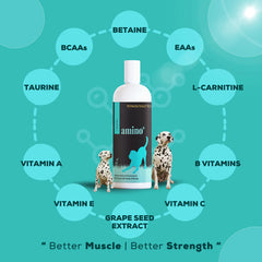 Venttura Amino Plus Syrup for Dogs