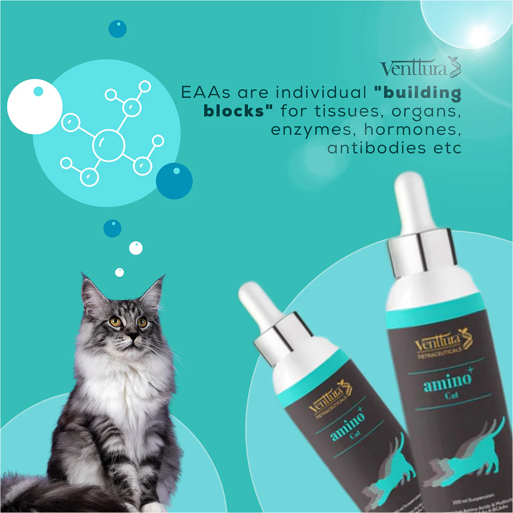 Venttura Amino Acids & Vitamin Supplement for Cats