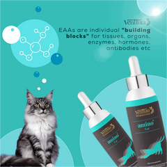 Venttura Amino Acids & Vitamin Supplement for Cats
