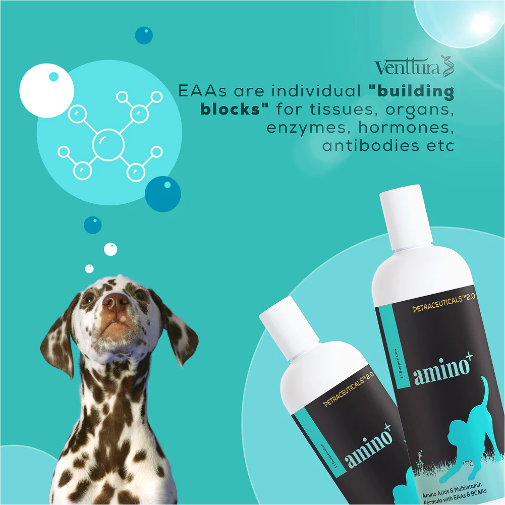 Venttura Amino Plus Syrup for Dogs