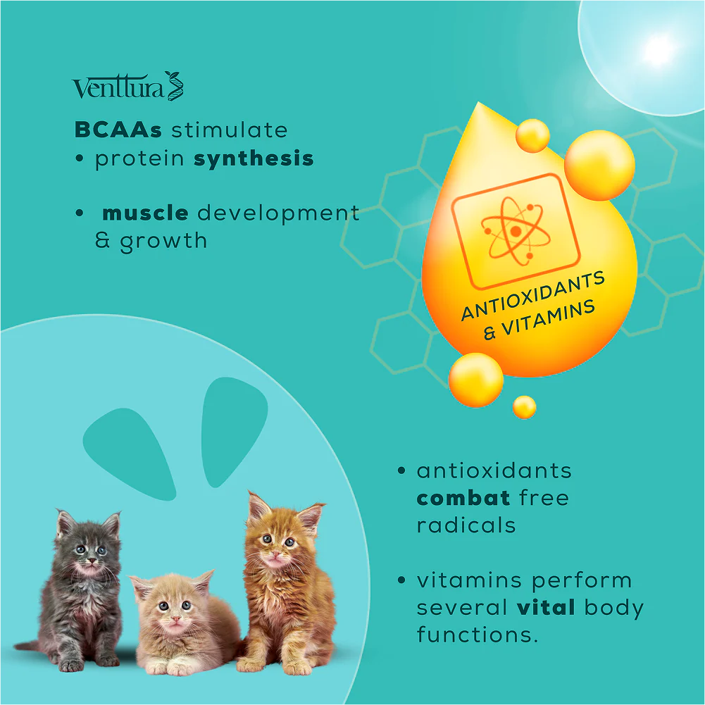 Venttura Amino Acids & Vitamin Supplement for Cats