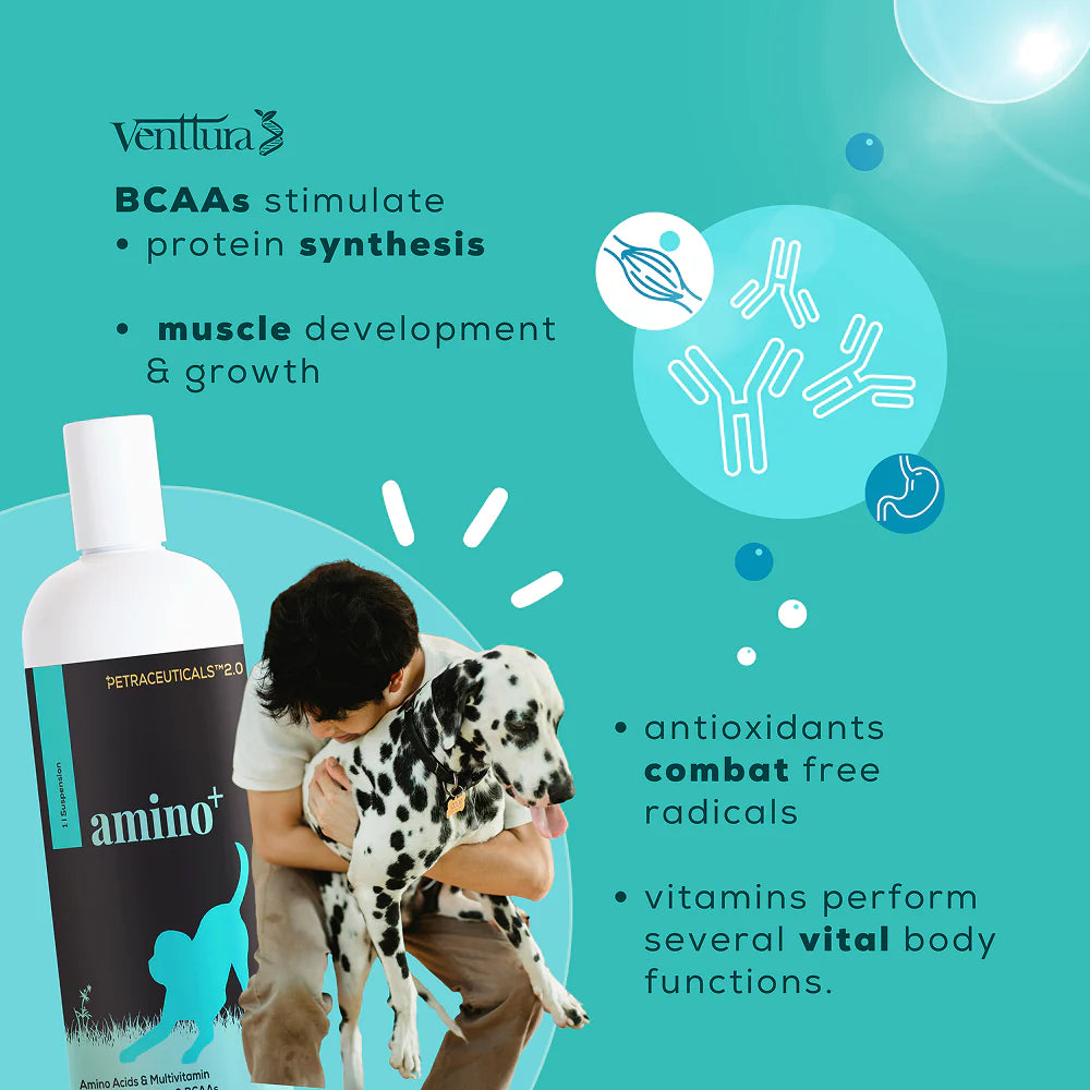 Venttura Amino Plus Syrup for Dogs