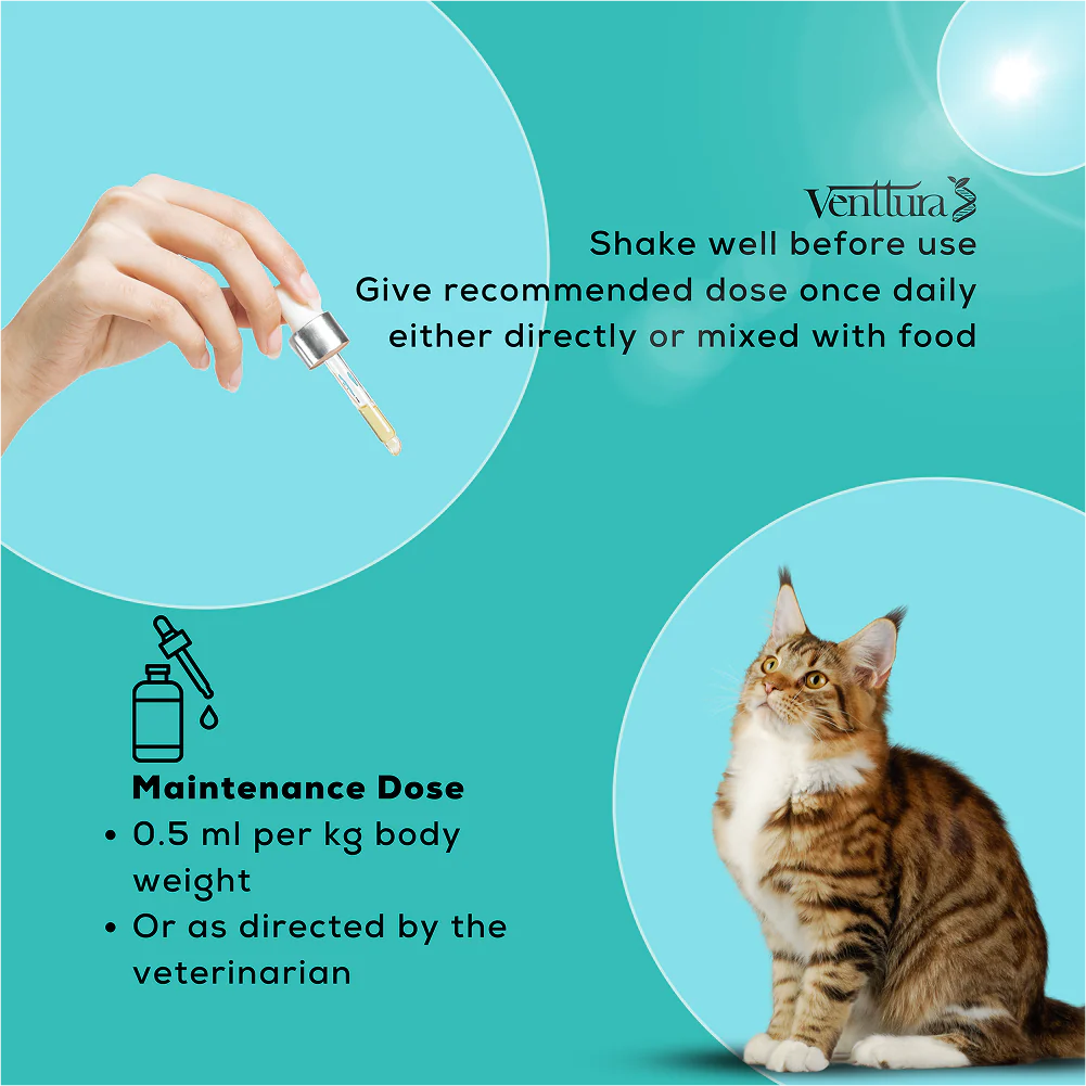 Venttura Amino Acids & Vitamin Supplement for Cats