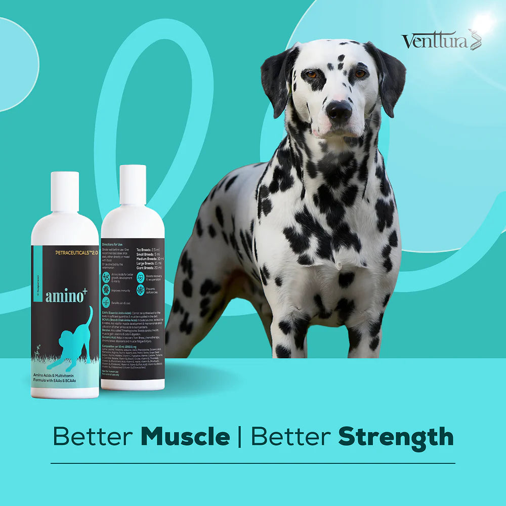 Venttura Amino Plus Syrup for Dogs
