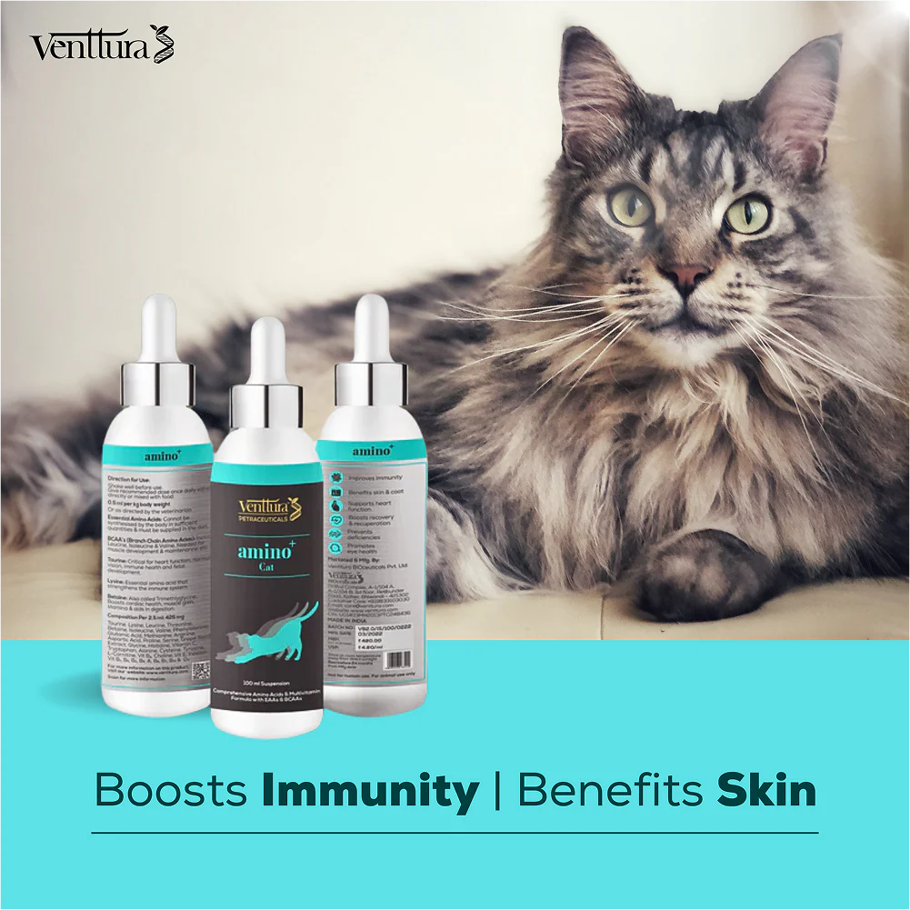 Venttura Amino Acids & Vitamin Supplement for Cats