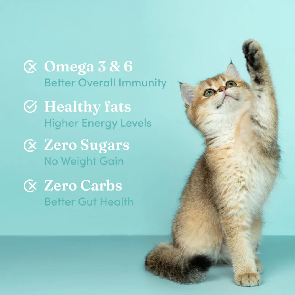 Vedic Tails Mild Cannabis Leaf Oil for Dogs and Cats