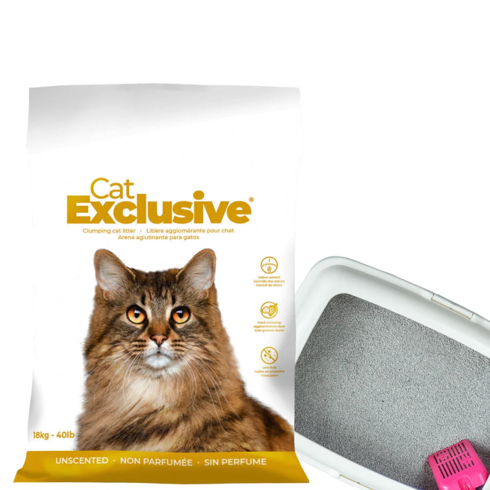 Intersand Cat's Exclusive Sodium Bentonite Clumping Unscented Cat Litter