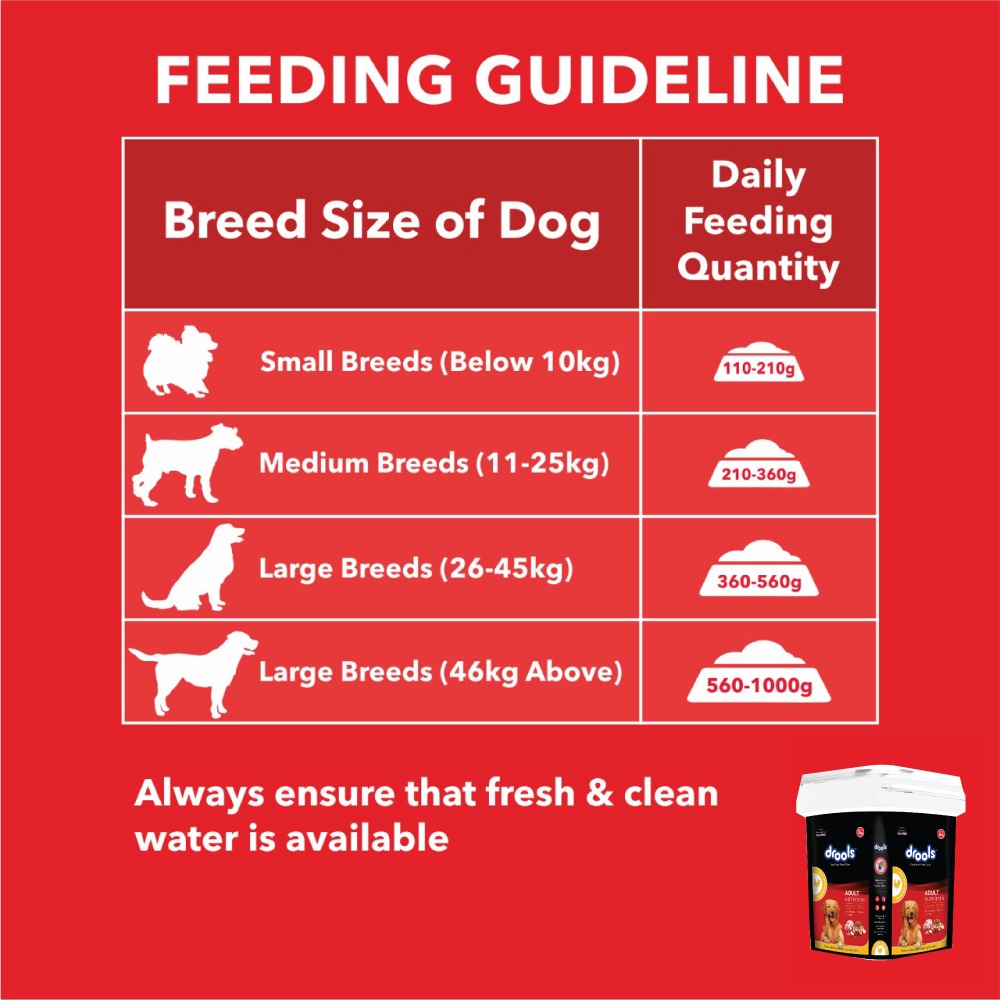 Drools Chicken and Egg Adult Dog Dry Food