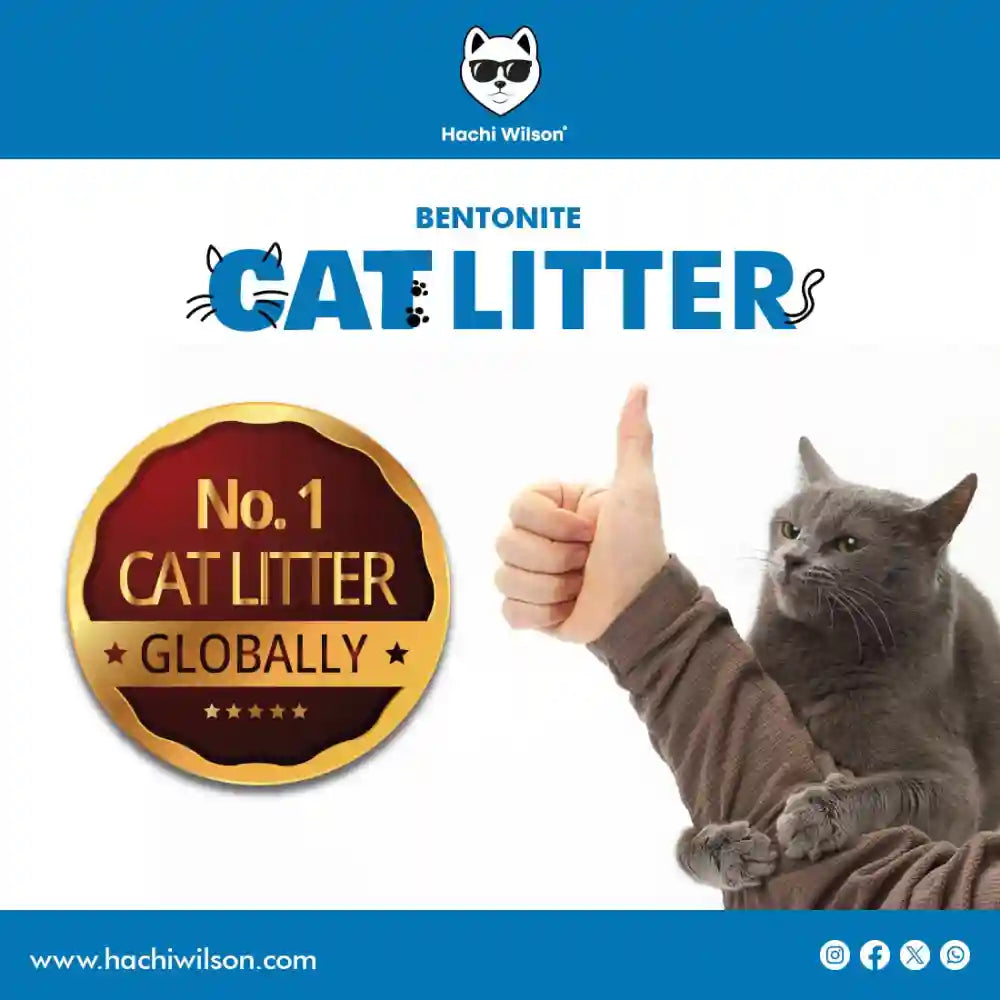 Hachi Wilson Scented Natural Bentonite White Sand Cat Litter