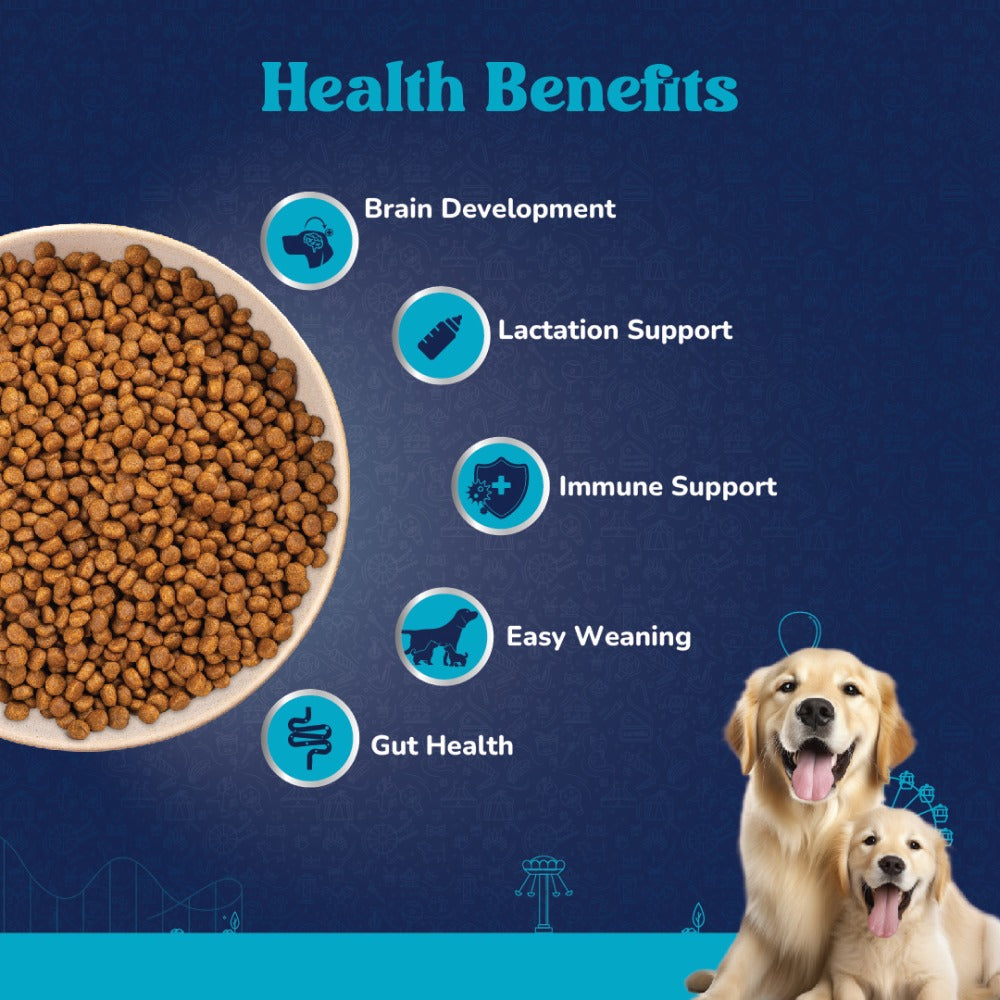 Carniwel Fresh Chicken Kibble Large Breed Starter Dog Dry Food