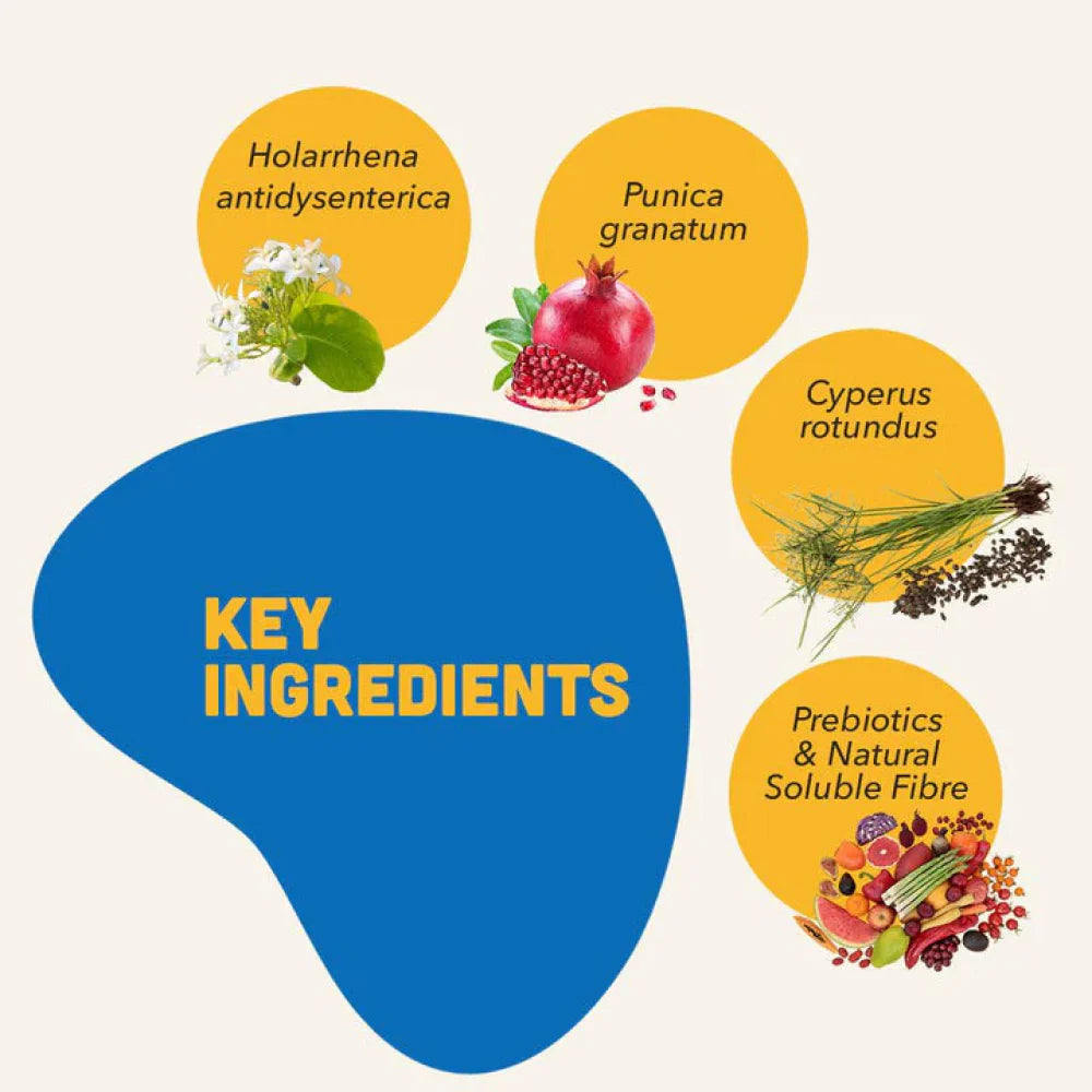 Natural Remedies Natgut Digestive Tablets & Fresh Me Up Bloom Dry Shampoo Dogs & Cats Combo