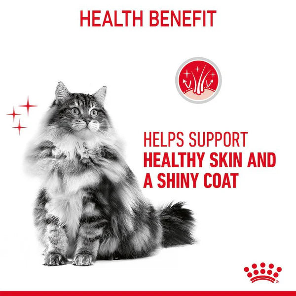 Royal Canin Instinctive Gravy Wet Food and Hair & Skin Care Adult Gravy Cat Wet Food Combo