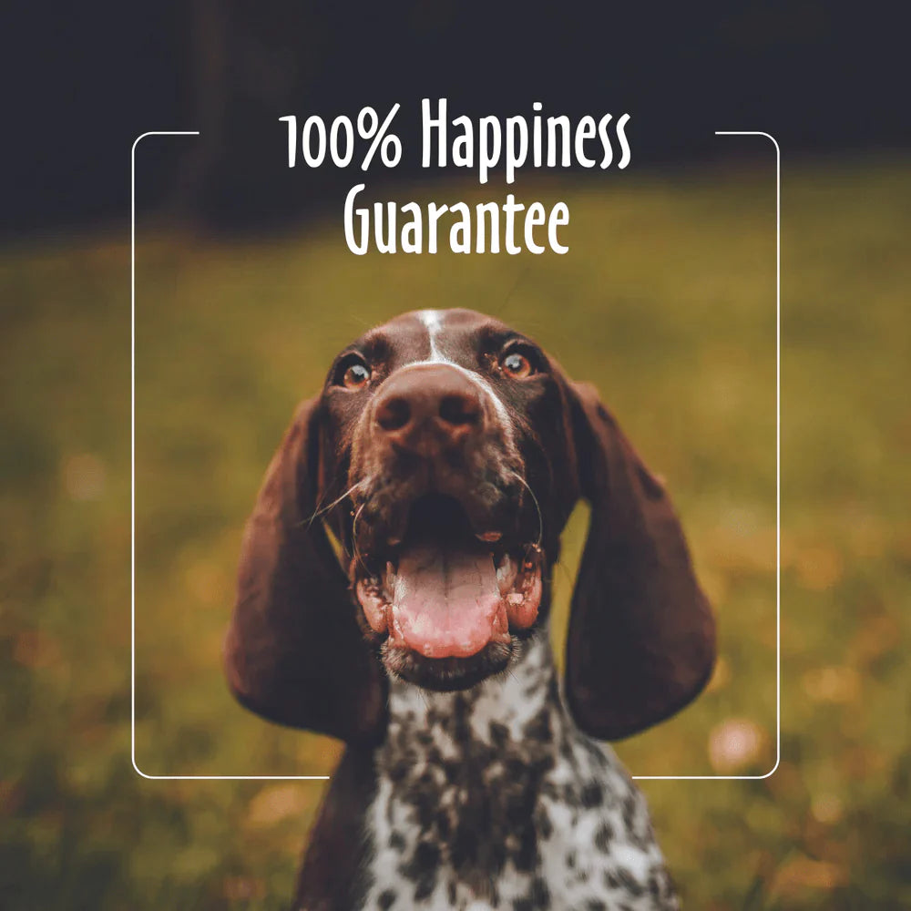 EarthBath Ultra Mild Grooming Wipes for Dogs and Cats