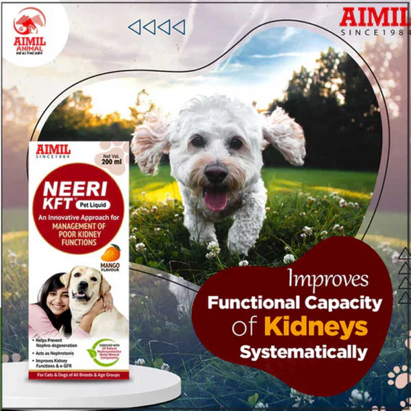 Aimil Neeri KFT Liquid Supplement for Dogs and Cats