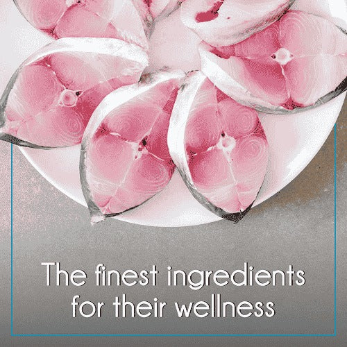 Purepet Ocean Fish Adult Cat Dry Food