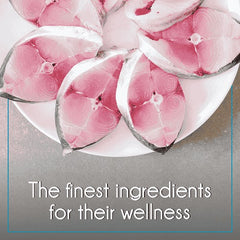 Purepet Ocean Fish Adult Cat Dry Food