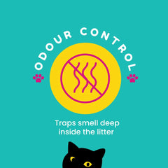 Petcrux Eco Clump Bentonite Unscented Cat Litter