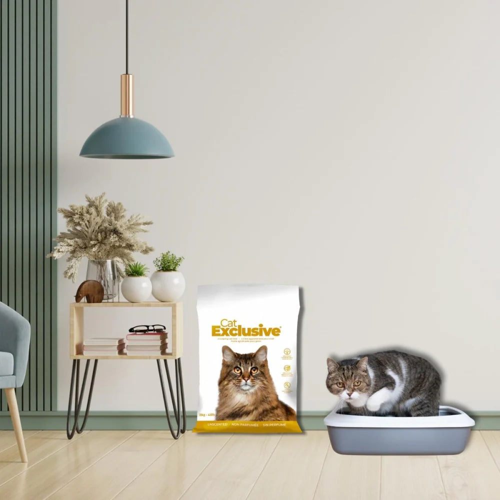 Intersand Cat's Exclusive Sodium Bentonite Clumping Unscented Cat Litter