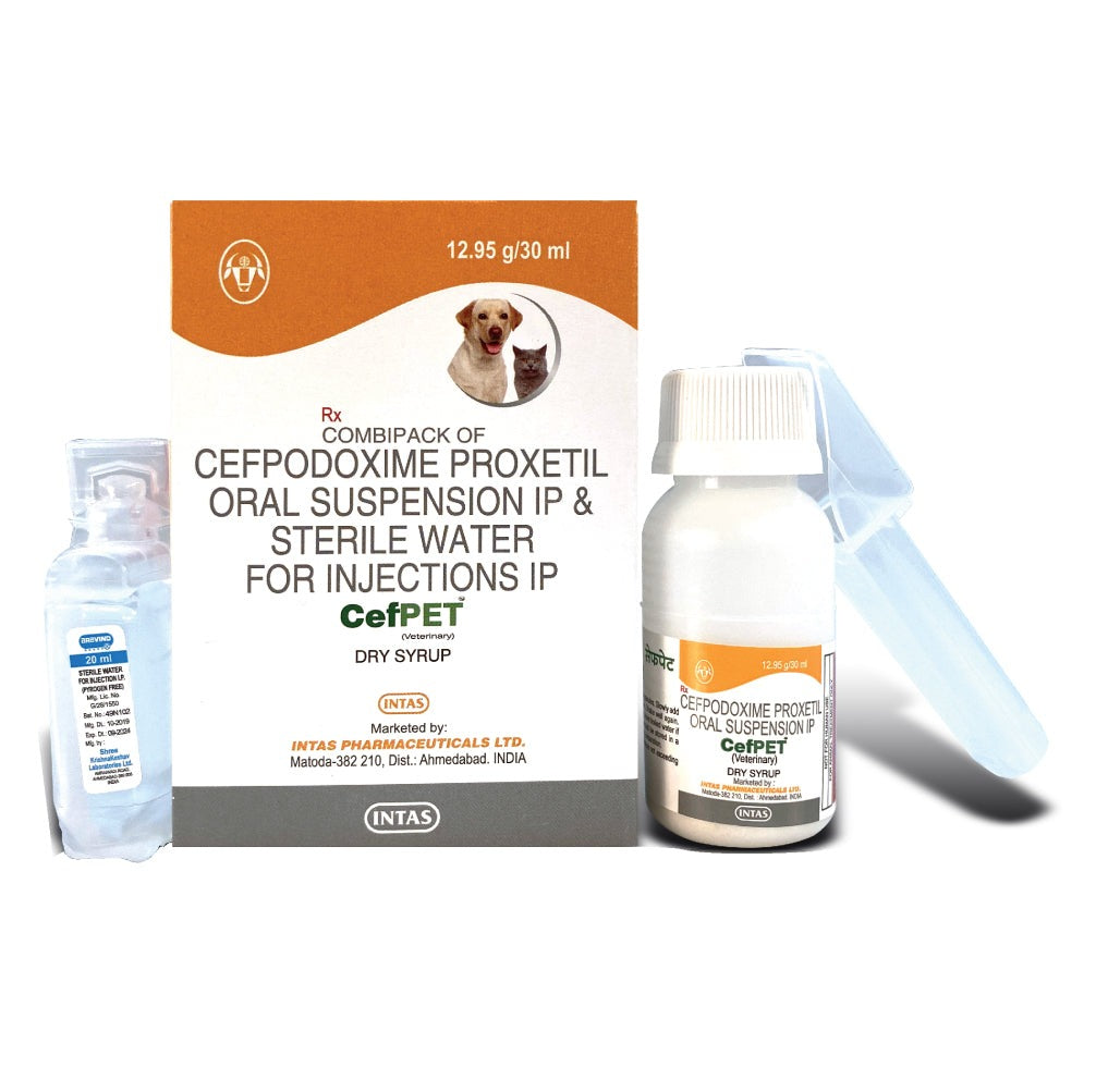 Intas Cefpet Dry Syrup for Dogs and Cats (30ml)